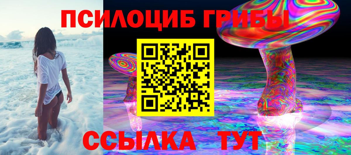 Псилоцибиновые грибы GOLDEN TEACHER Грязи